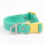 Island Vibes Waterproof Dog Collar Aqua Sunshine Yellow Collar Aria the Fox