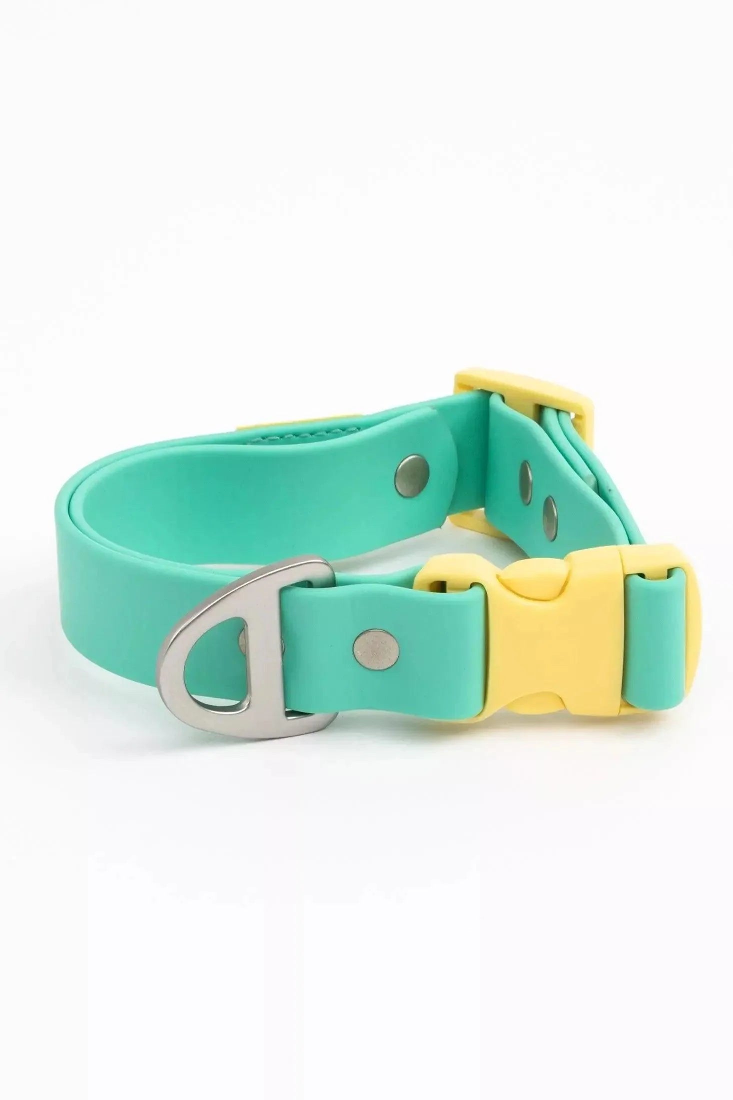 Island Vibes Waterproof Dog Collar Aqua Sunshine Yellow Collar Aria the Fox