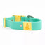 Island Vibes Waterproof Dog Collar Collar Aria the Fox