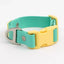 Island Vibes Waterproof Dog Collar Aqua Sunshine Yellow Collar Aria the Fox