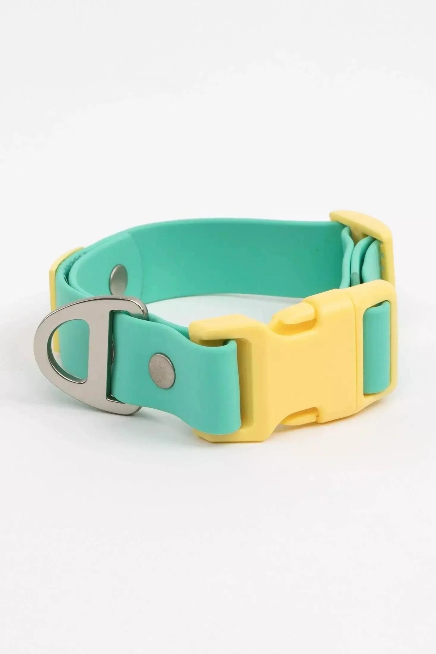 Island Vibes Waterproof Dog Collar Aqua Sunshine Yellow Collar Aria the Fox
