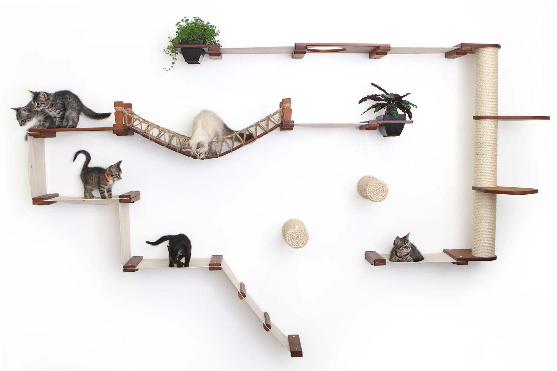 The Juggernaut - Indoor Cat Playground for Wall Cat Condo Catastrophic Creations