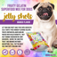 Dogtastic Jelly Shots Gelatin Mix for Dogs - Mango Flavor Dog Treats Dogtastic