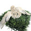 Jumbo Italian Quail Hatching Eggs Buddys Hatchery