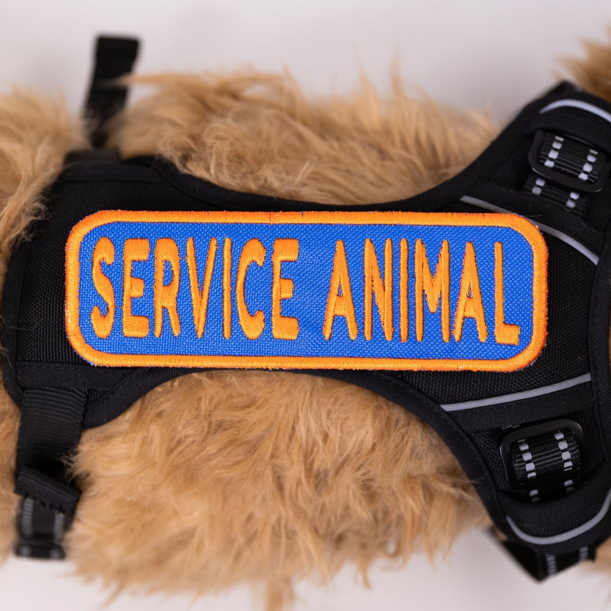 Service Animal 2x6 Patch Hook & Loop Blue & Orange Patch K9 Sport Sack