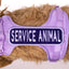 Service Animal 2x6 Patch Hook & Loop Purple & Lavender Patch K9 Sport Sack