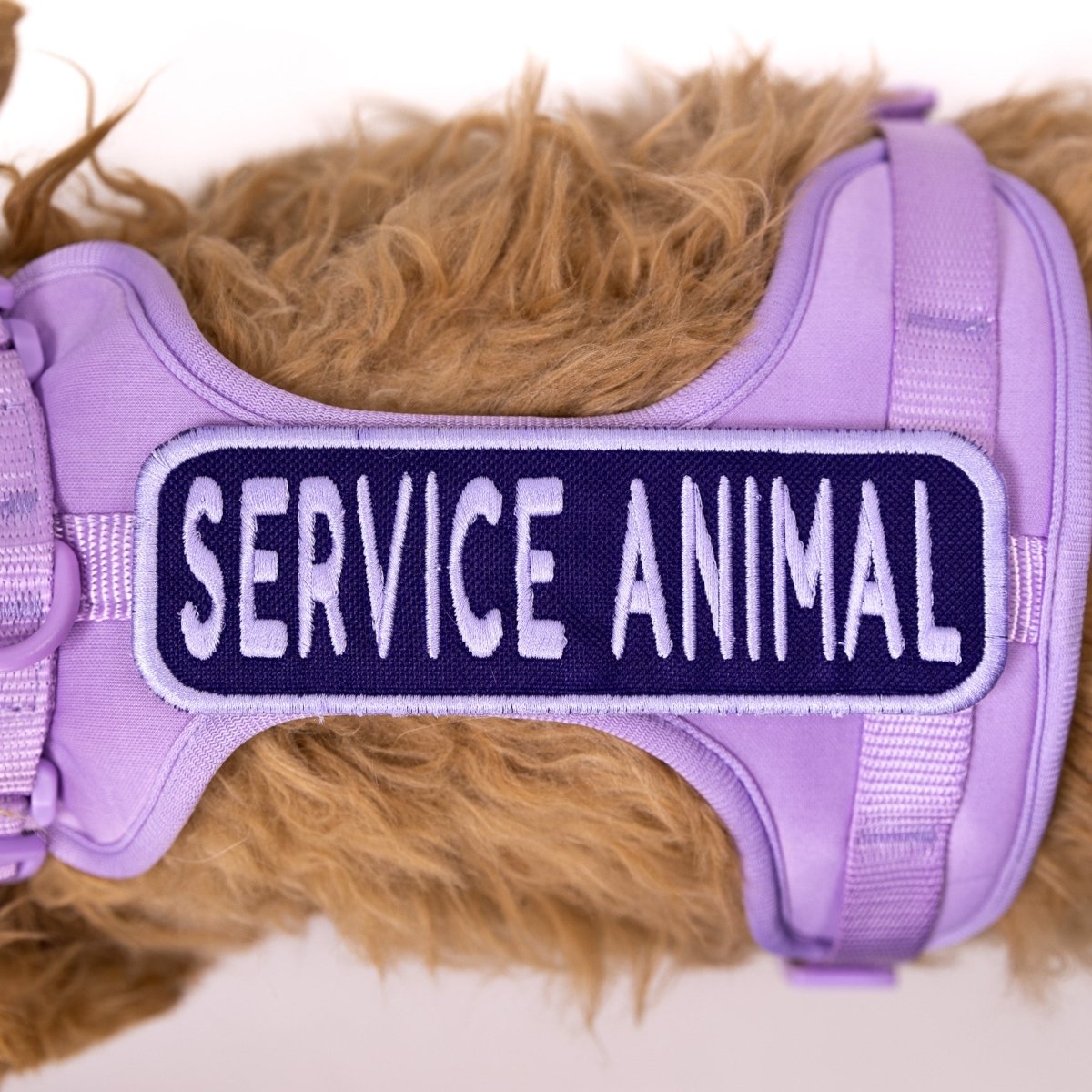 Service Animal 2x6 Patch Hook & Loop Purple & Lavender Patch K9 Sport Sack