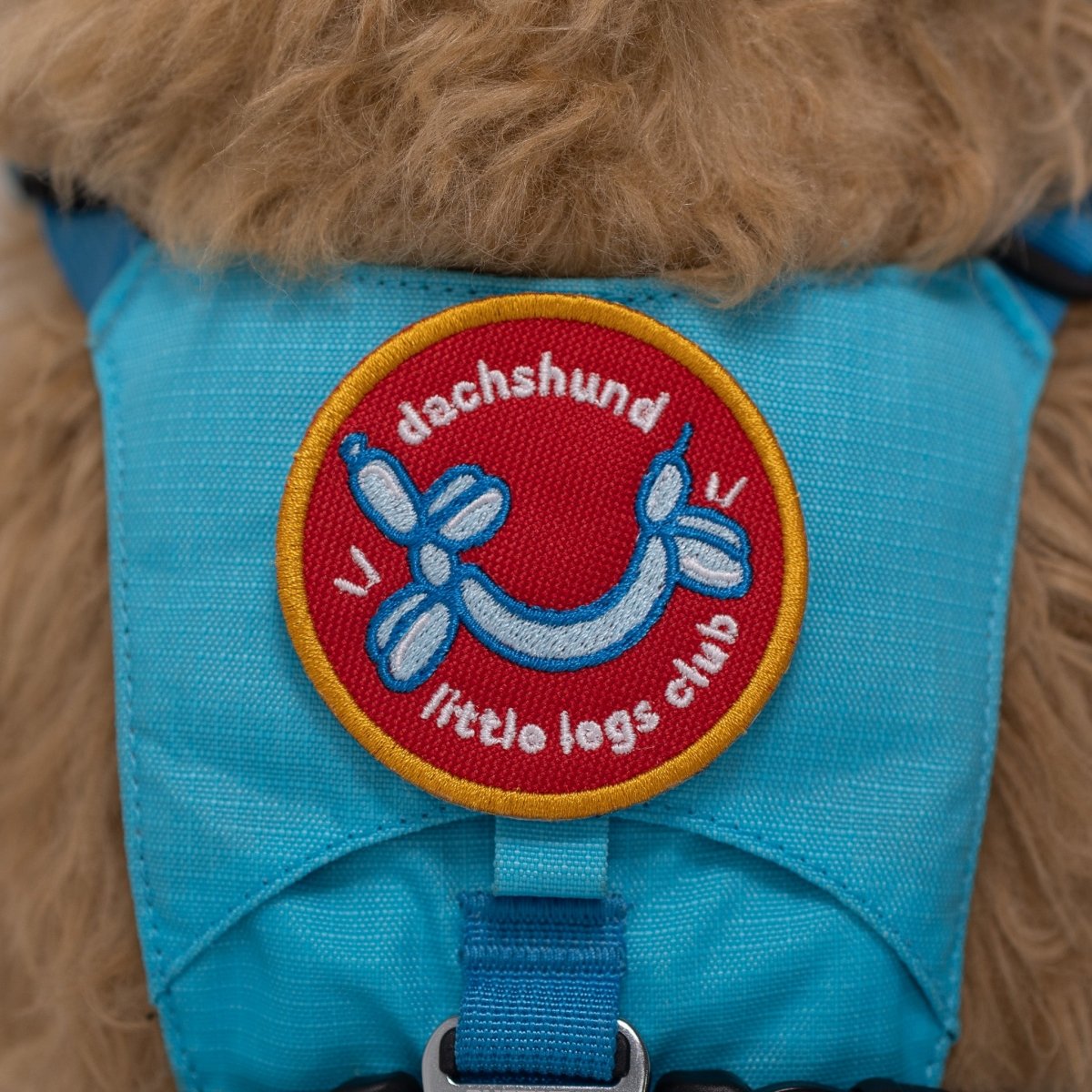 Dachshund Little Legs Club Patch Iron On Patch K9 Sport Sack