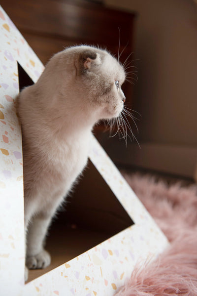 'Terrazzo' Cardboard Cat Pyramid KittyKardboard