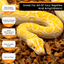 ReptiChip Coarse Coconut Chip Mix; Ready to Use Substrate ReptiChip LLC