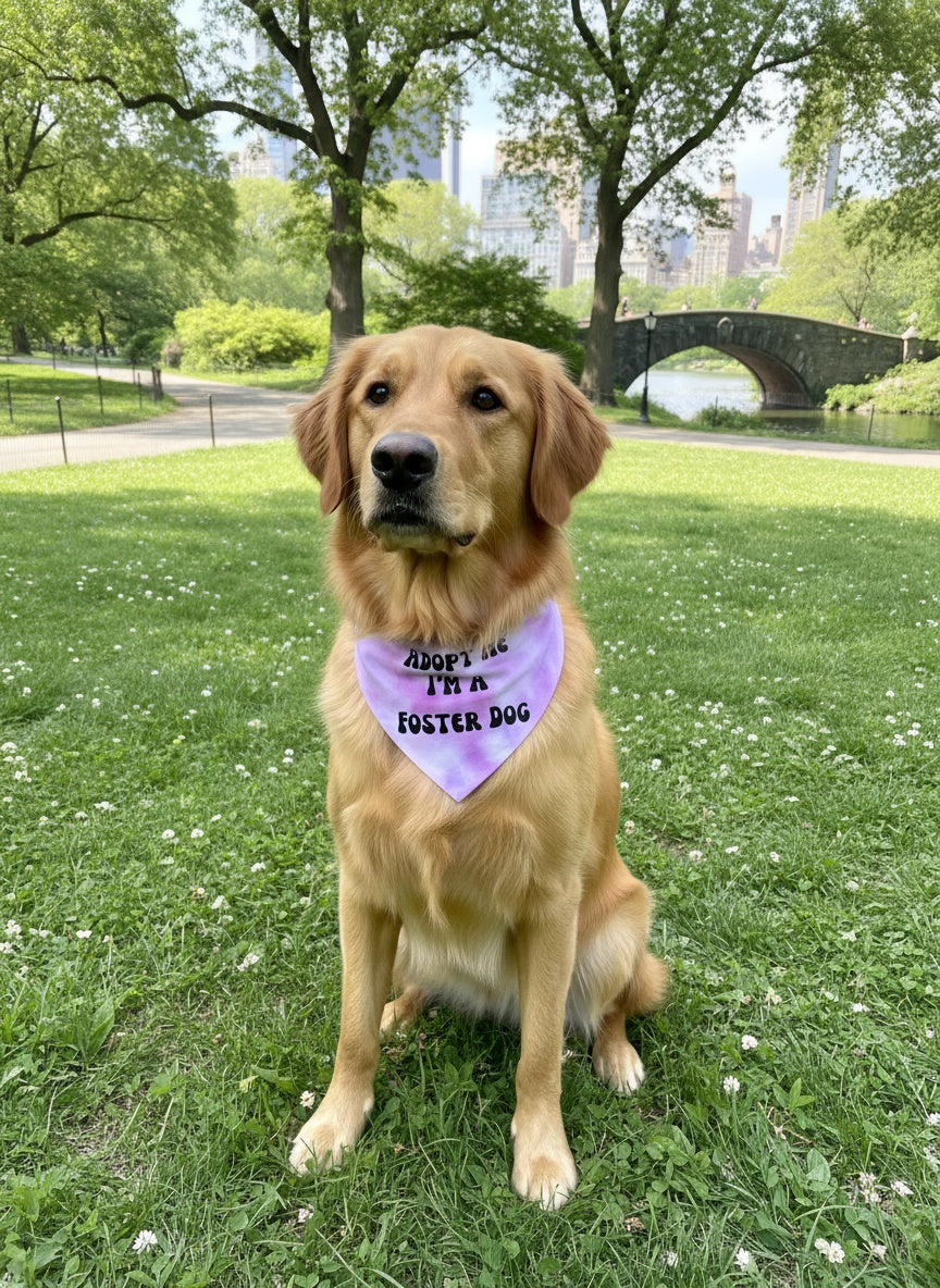 Adopt Me I'm A Foster Tie Dye Dog Bandana New Arrival Dog Bandana Happy Tails Outfitters