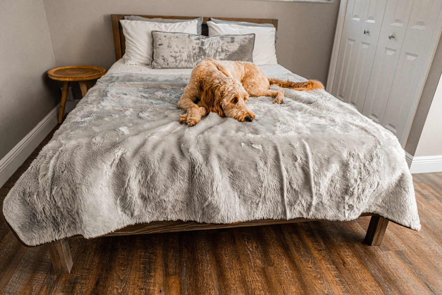 PupProtector™ Summer Short Fur Waterproof Throw Blanket - Grey Large (80"L X 62"W) Dog Blanket Paw.com