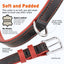 Soft Leather Dual-Color Flat Dog Collar Dog Collars Dogline
