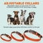 Soft Leather Dual-Color Flat Dog Collar Dog Collars Dogline