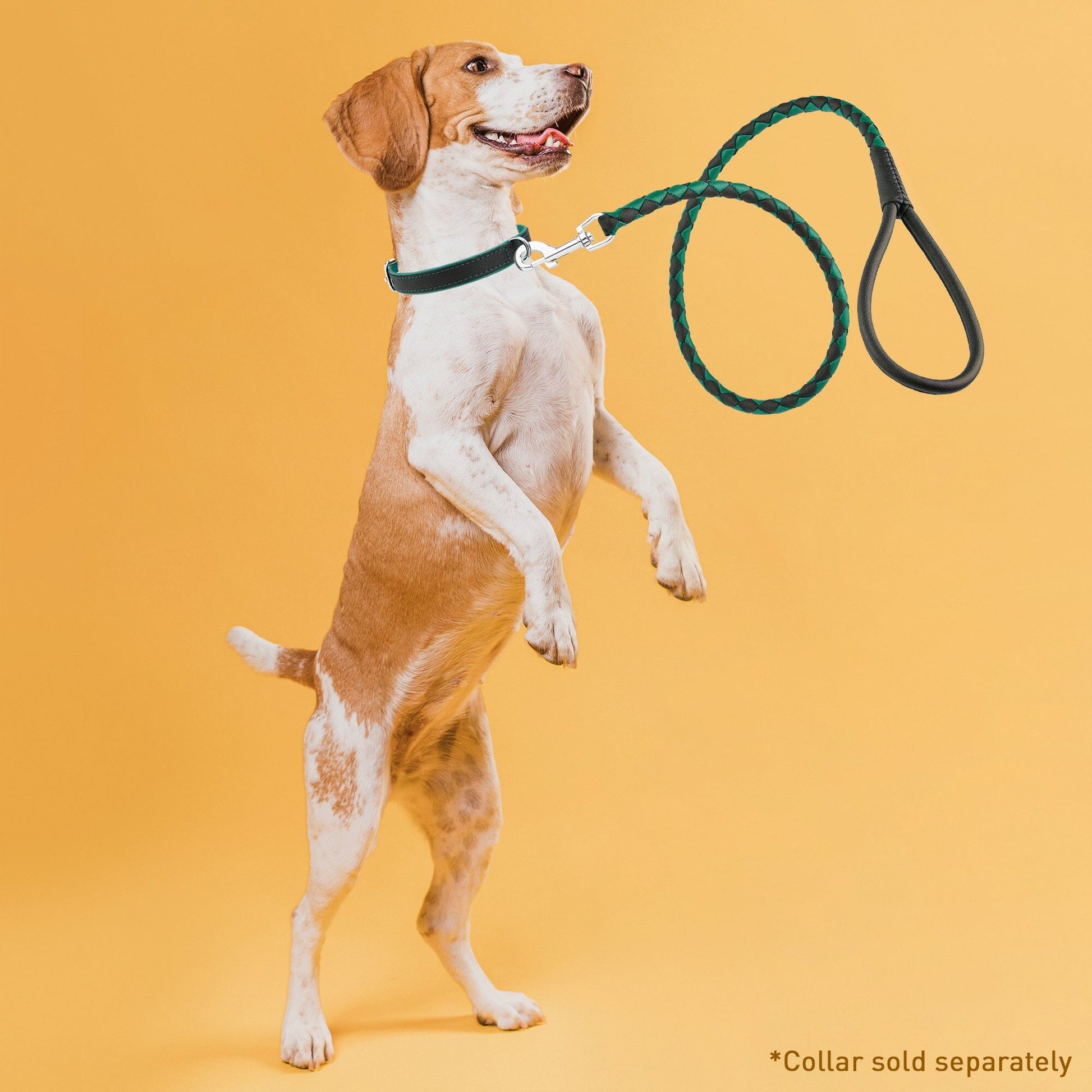 Soft Leather Dual-Color Braided Round Lead Dog Leashes Dogline