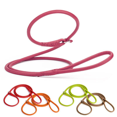 Soft Leather Round Slip Lead for Dogs Dog Leashes Dogline