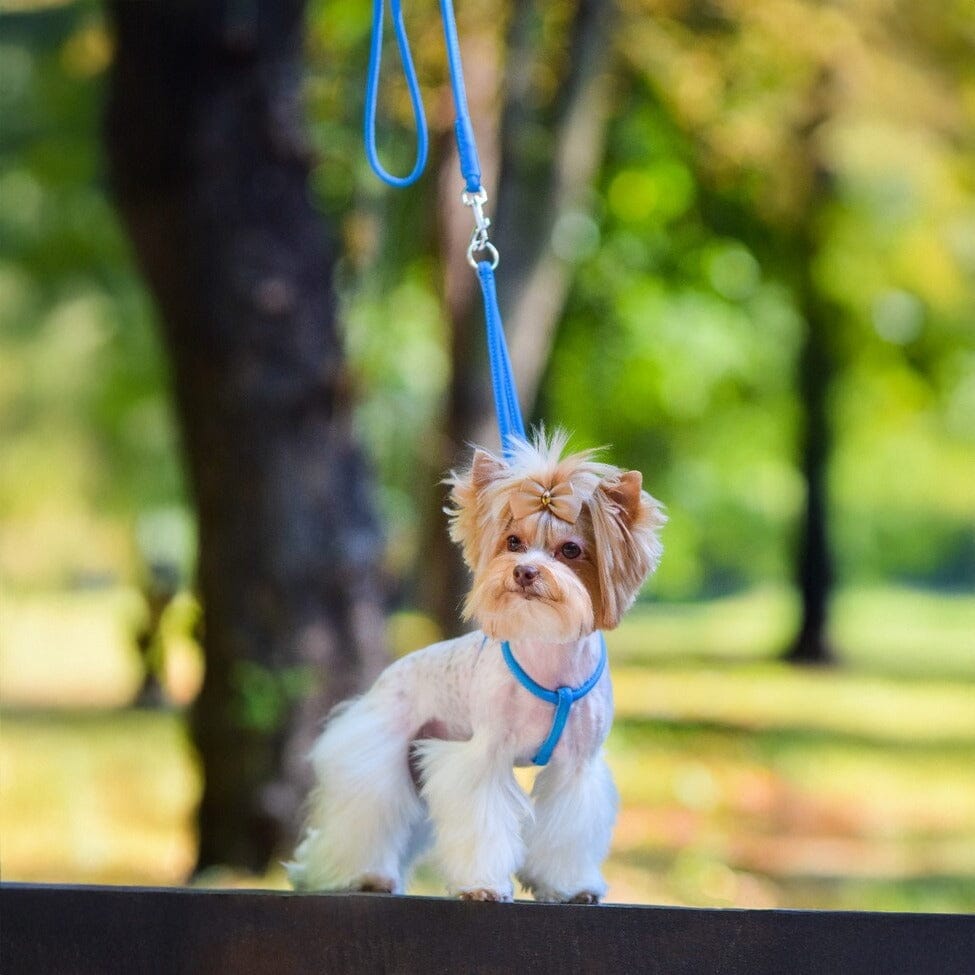 Soft Leather Round Step-In Dog Harness + Round Dog Lead Dog Harnesses Dogline