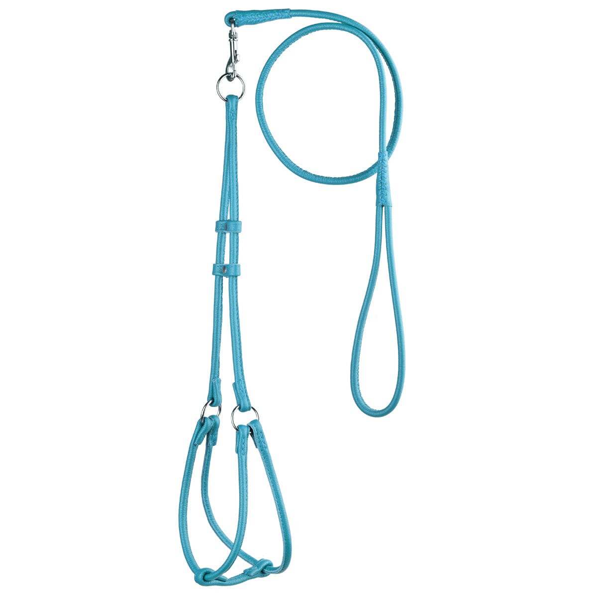 Soft Leather Round Step-In Dog Harness + Round Dog Lead Teal 1 4" Dog Harnesses Dogline
