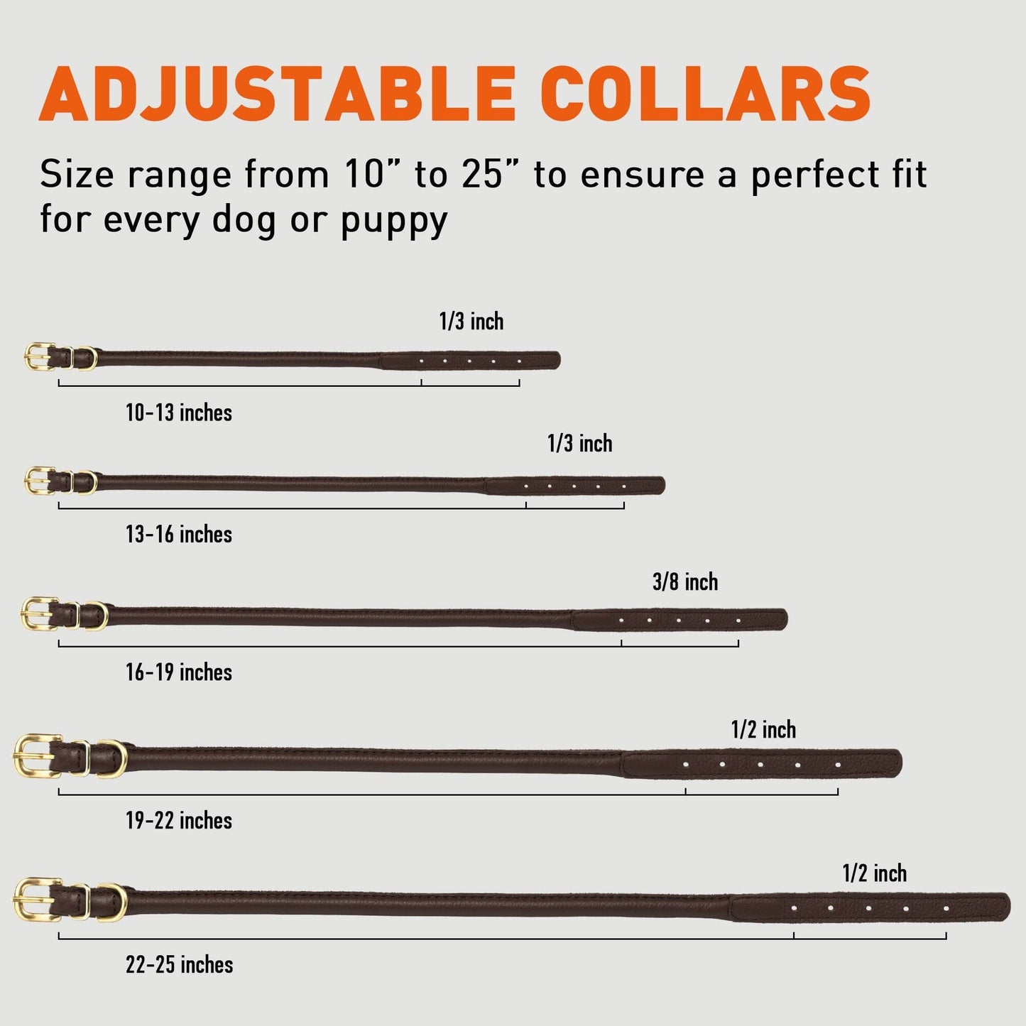 Soft Rolled Leather Dog Collar with Brass Hardware Dog Collars Dogline