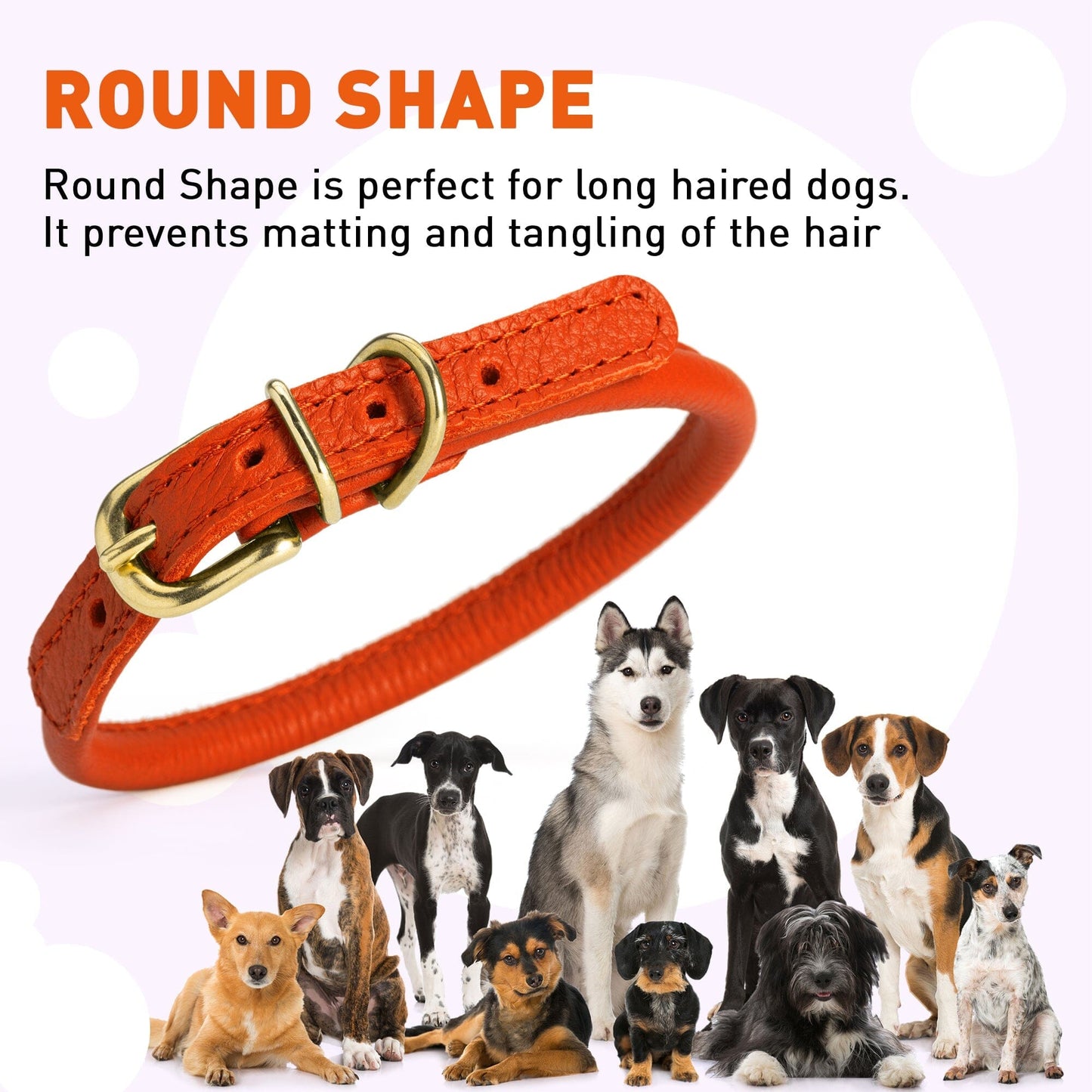 Soft Rolled Leather Dog Collar with Brass Hardware Dog Collars Dogline