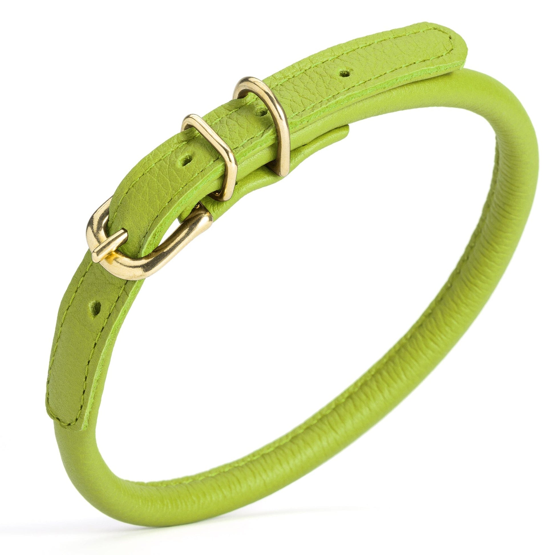 Soft Rolled Leather Dog Collar with Brass Hardware Lime Green 16-19" 3 8" Dog Collars Dogline