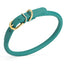 Soft Rolled Leather Dog Collar with Brass Hardware Teal 1 2" Dog Collars Dogline