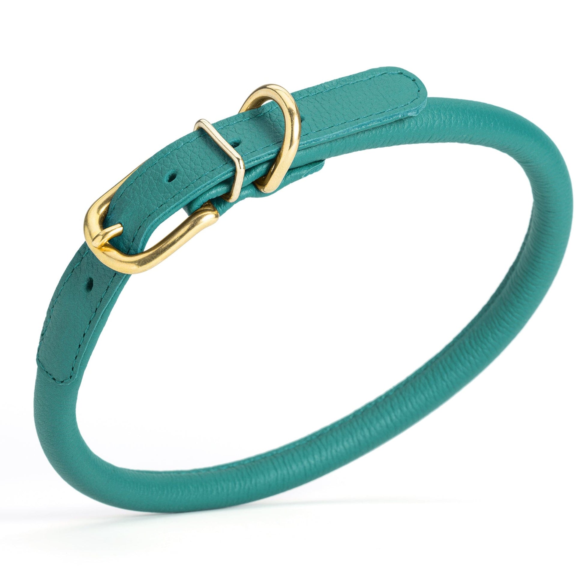 Soft Rolled Leather Dog Collar with Brass Hardware Teal 1 2" Dog Collars Dogline