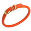 Soft Rolled Leather Dog Collar with Brass Hardware Orange 1 2" Dog Collars Dogline