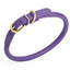 Soft Rolled Leather Dog Collar with Brass Hardware Purple 1 2" Dog Collars Dogline
