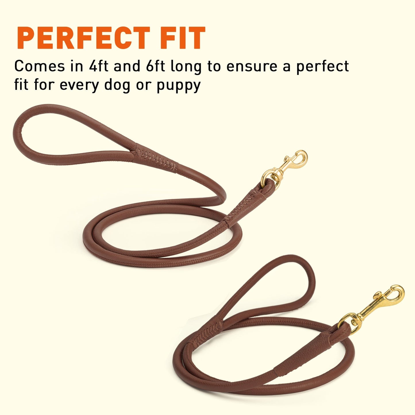 Rolled Leather Dog Leash with Brass Snap Hook Dog Leashes Dogline