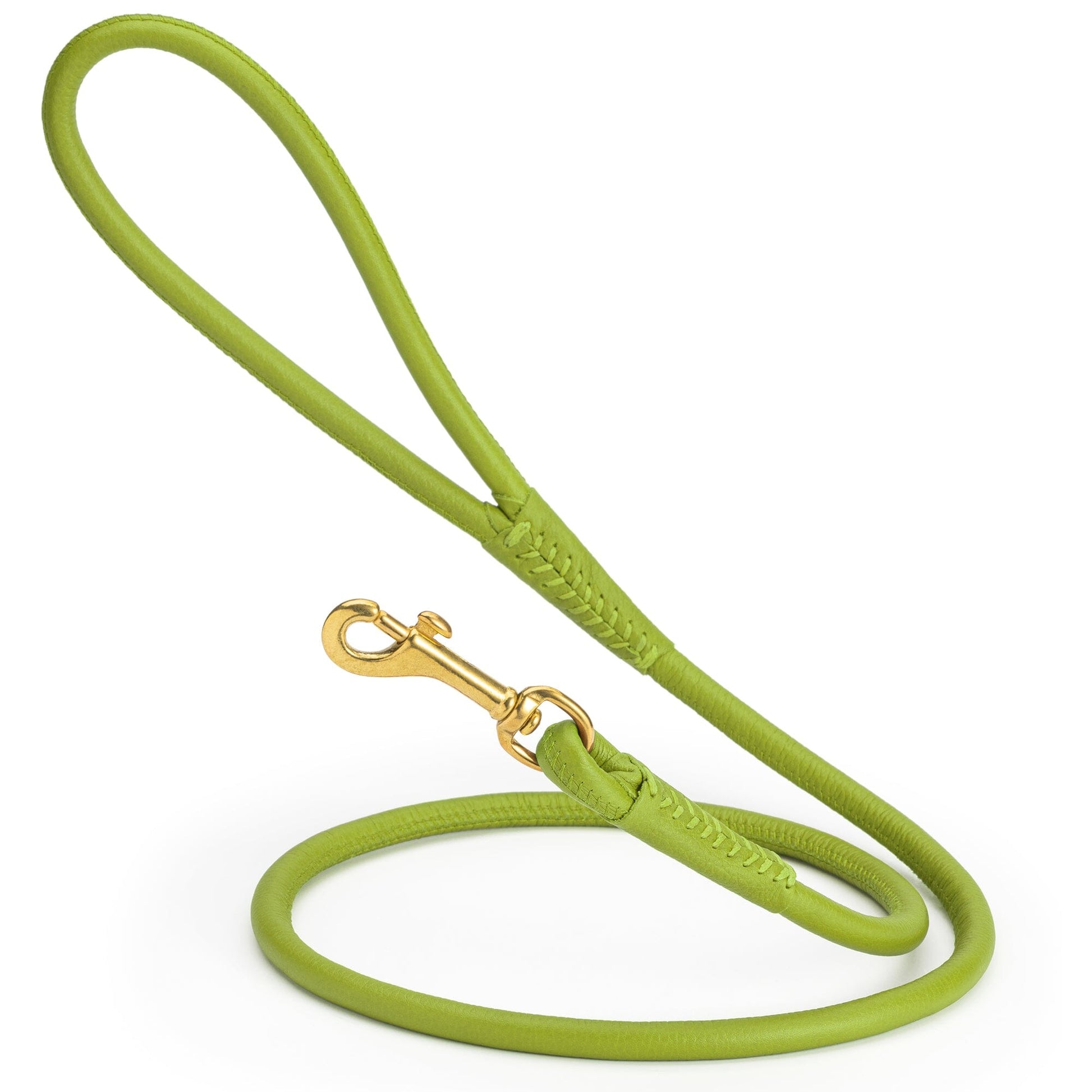 Rolled Leather Dog Leash with Brass Snap Hook Lime Green 3 8" Dog Leashes Dogline