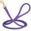 Rolled Leather Dog Leash with Brass Snap Hook Purple 1 2" Dog Leashes Dogline