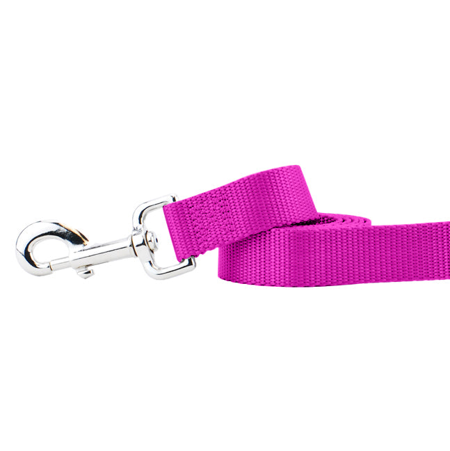 Raspberry Nylon Dog Leash 2 Hounds Design