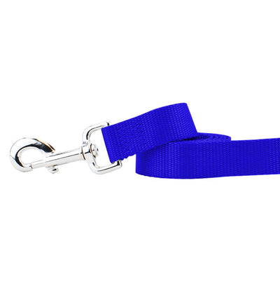 Royal Blue Nylon Dog Leash 2 Hounds Design