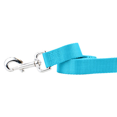 Turquoise Nylon Dog Leash 2 Hounds Design