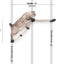 The Lift- Cat Hammock Bed Cat Hammock Catastrophic Creations