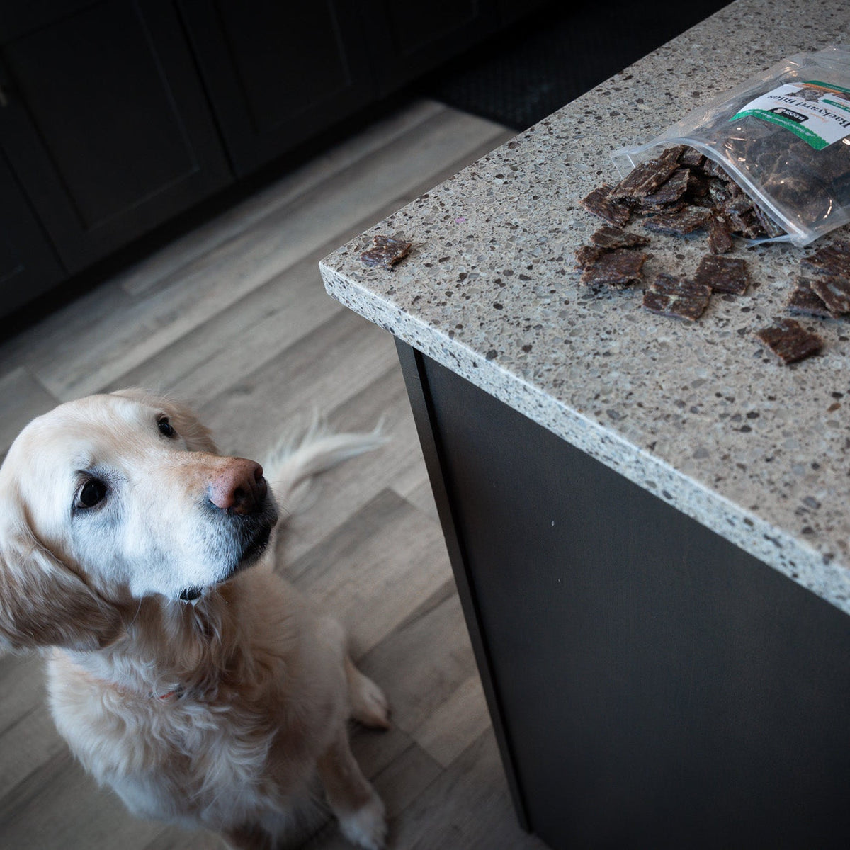 Backyard Bites Treats - Beef Formula Dog Food Elevate Pet Provisions