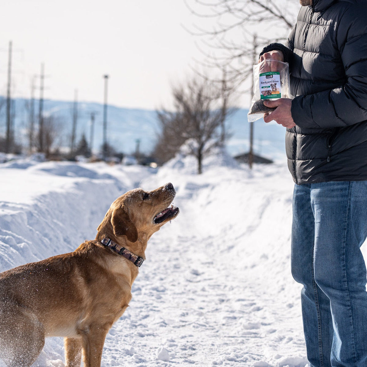 Backyard Bites Treats - Beef Formula Dog Food Elevate Pet Provisions