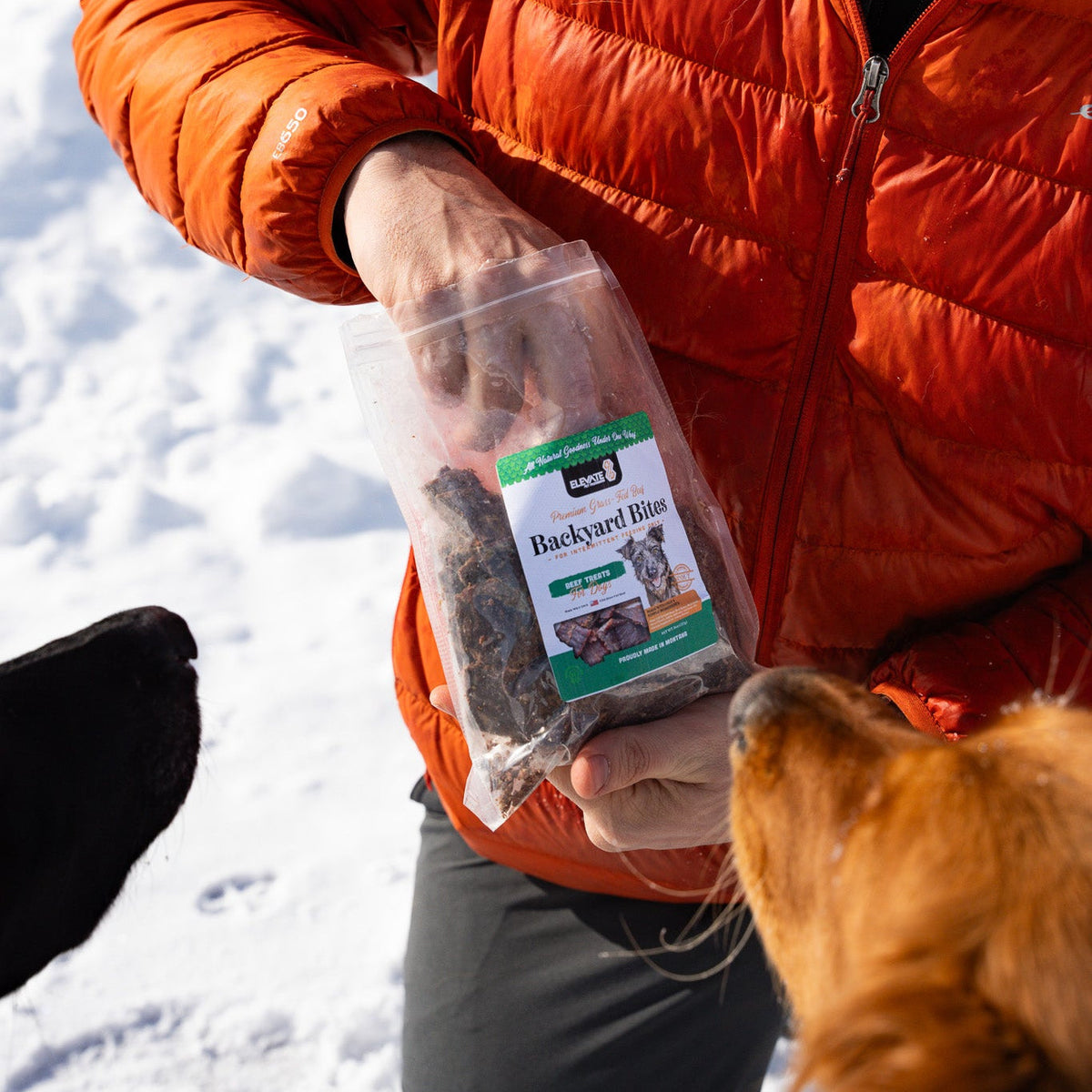 Backyard Bites Treats - Beef Formula Dog Food Elevate Pet Provisions
