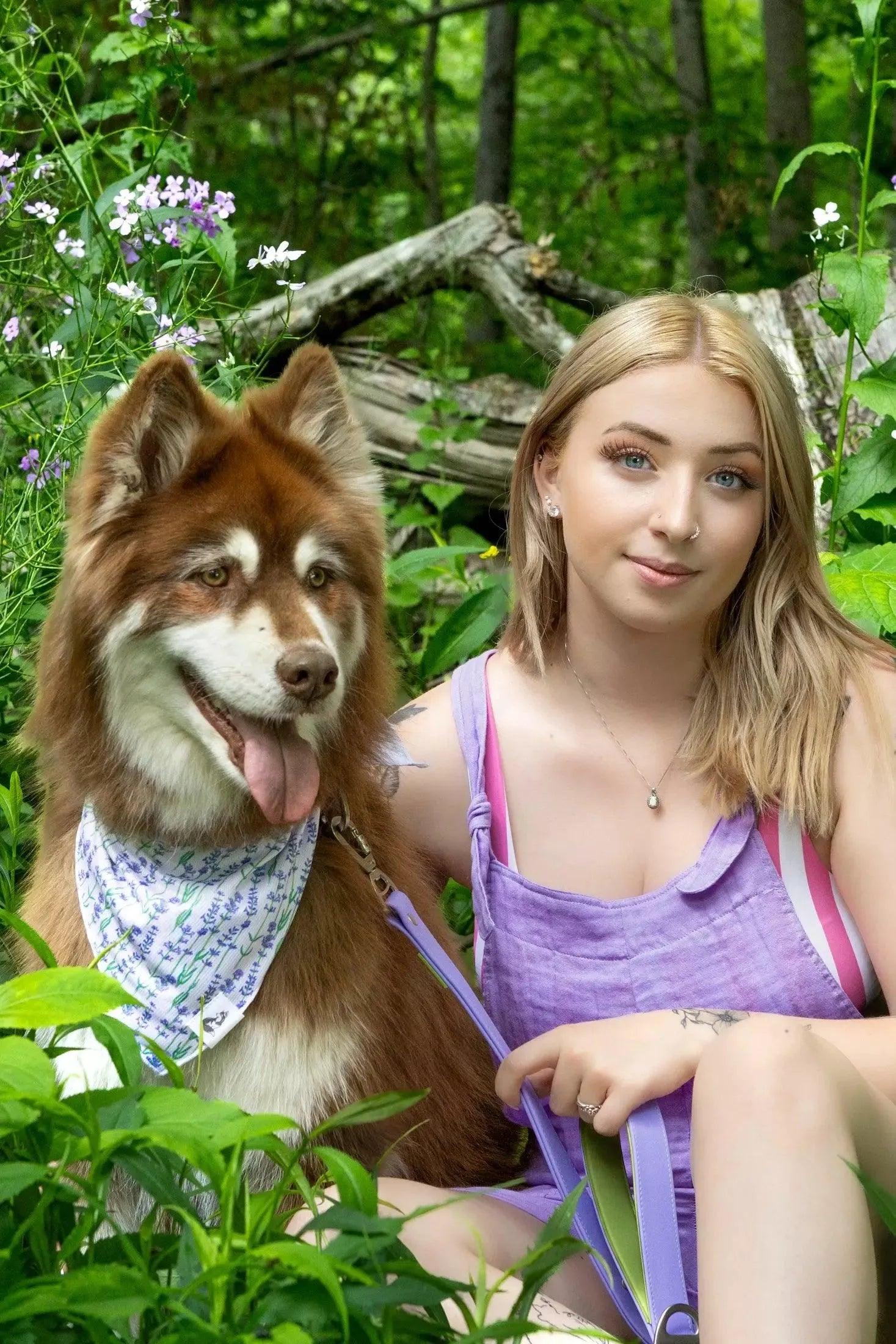 Lavender Blooms Dog Bandana bandana Aria the Fox