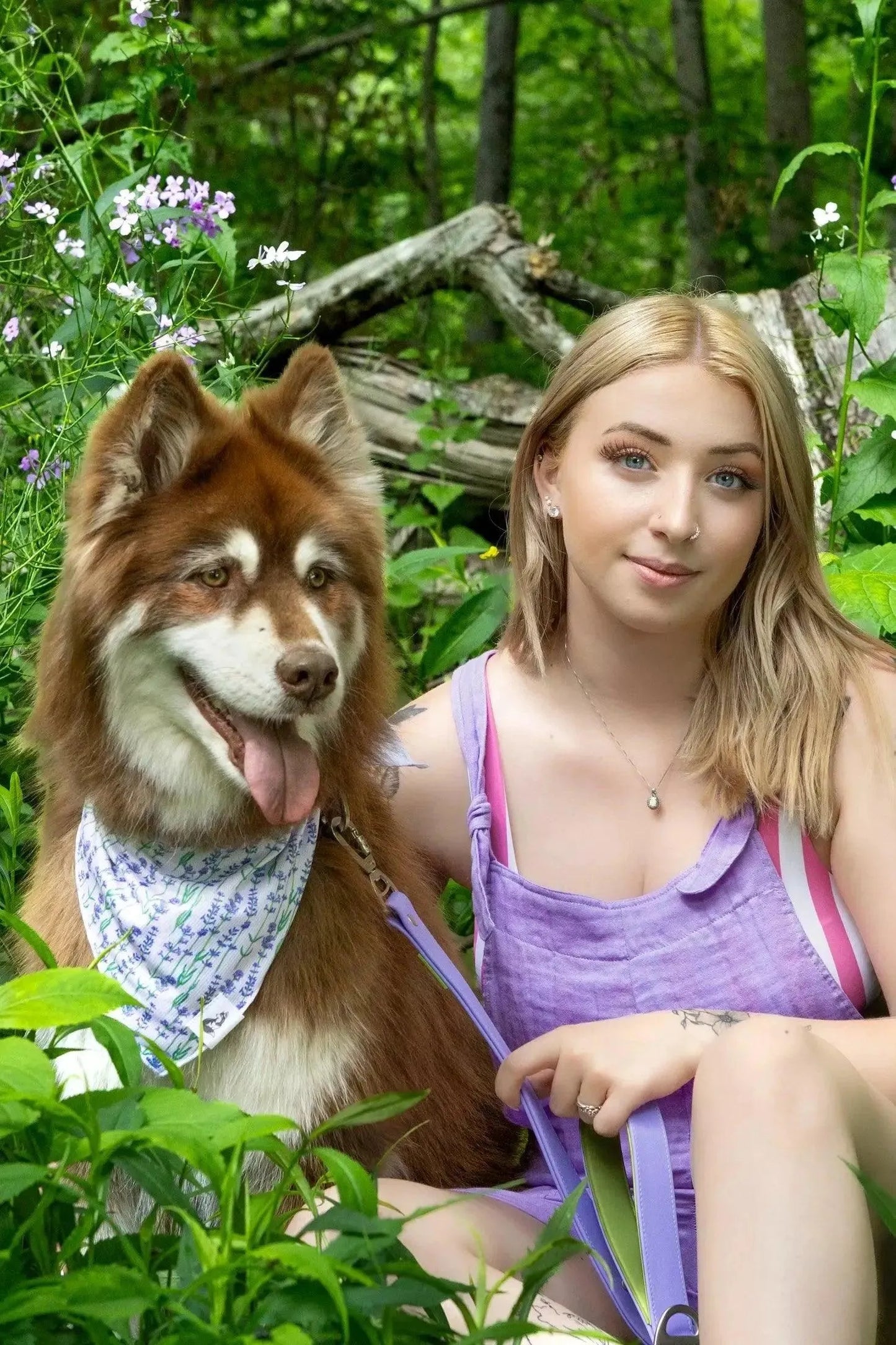 Lavender Blooms Dog Bandana & Matching Keychain bandana Aria the Fox