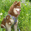 Lavender Garden Ultimate Dog Harness Harness Aria the Fox