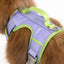 Lavender Garden Ultimate Dog Harness Lavender Meadow Green Harness Aria the Fox
