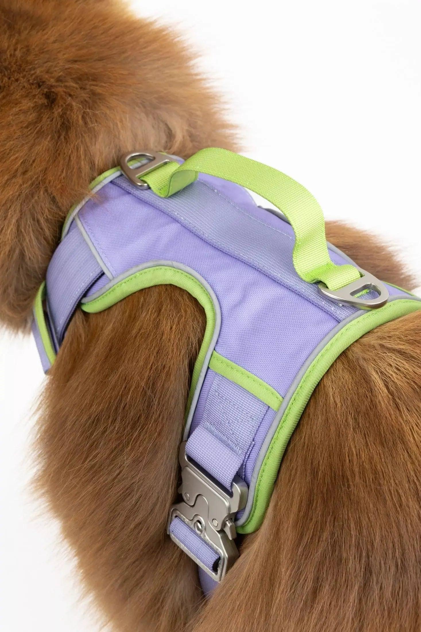 Lavender Garden Ultimate Dog Harness Lavender Meadow Green Harness Aria the Fox