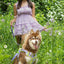 Lavender Garden Ultimate Dog Harness Harness Aria the Fox