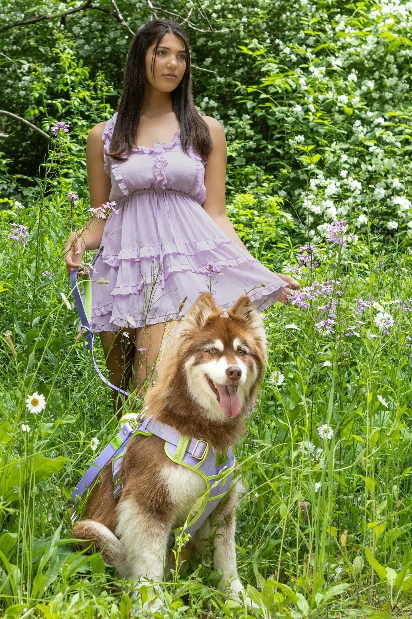 Lavender Garden Ultimate Dog Harness Harness Aria the Fox