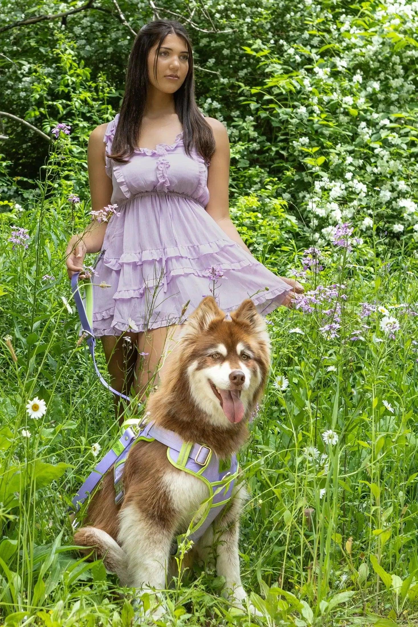Lavender Garden Ultimate Dog Harness Harness Aria the Fox