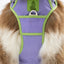 Lavender Garden Ultimate Dog Harness Harness Aria the Fox