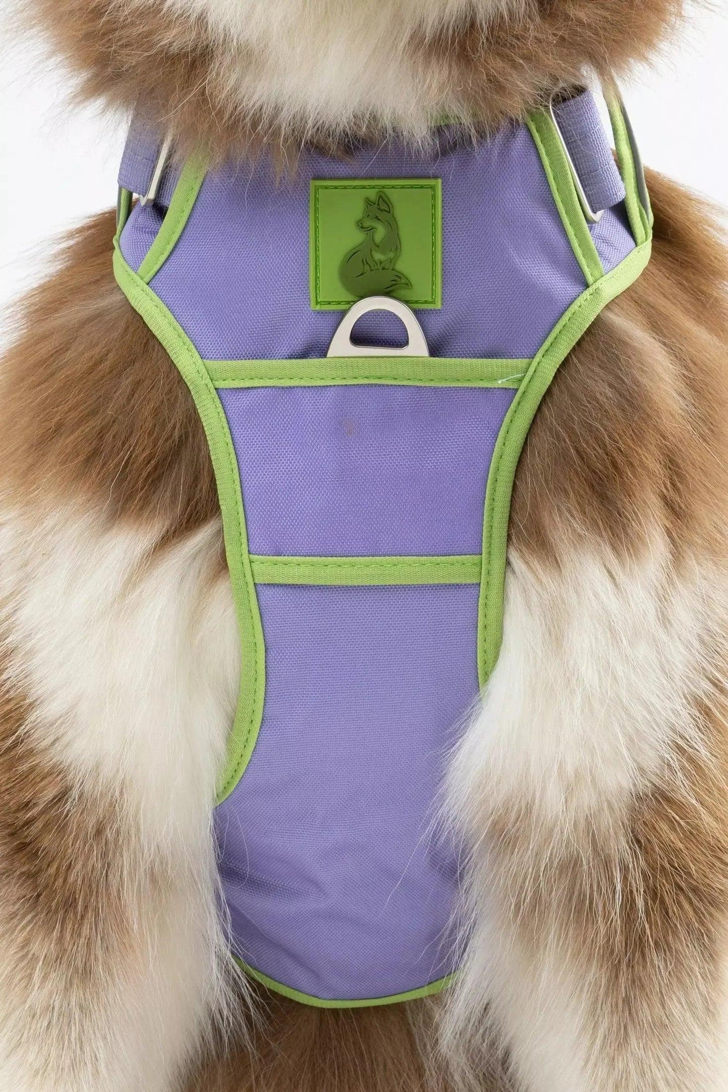 Lavender Garden Ultimate Dog Harness Harness Aria the Fox