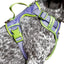Lavender Garden Ultimate Dog Harness Lavender Meadow Green Small Harness Aria the Fox